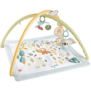 Fisher-Price Simply Senses Newborn Gym