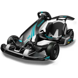 Segway GoKart PRO 2 by Segway E-Board (3 Zoll, Grau)