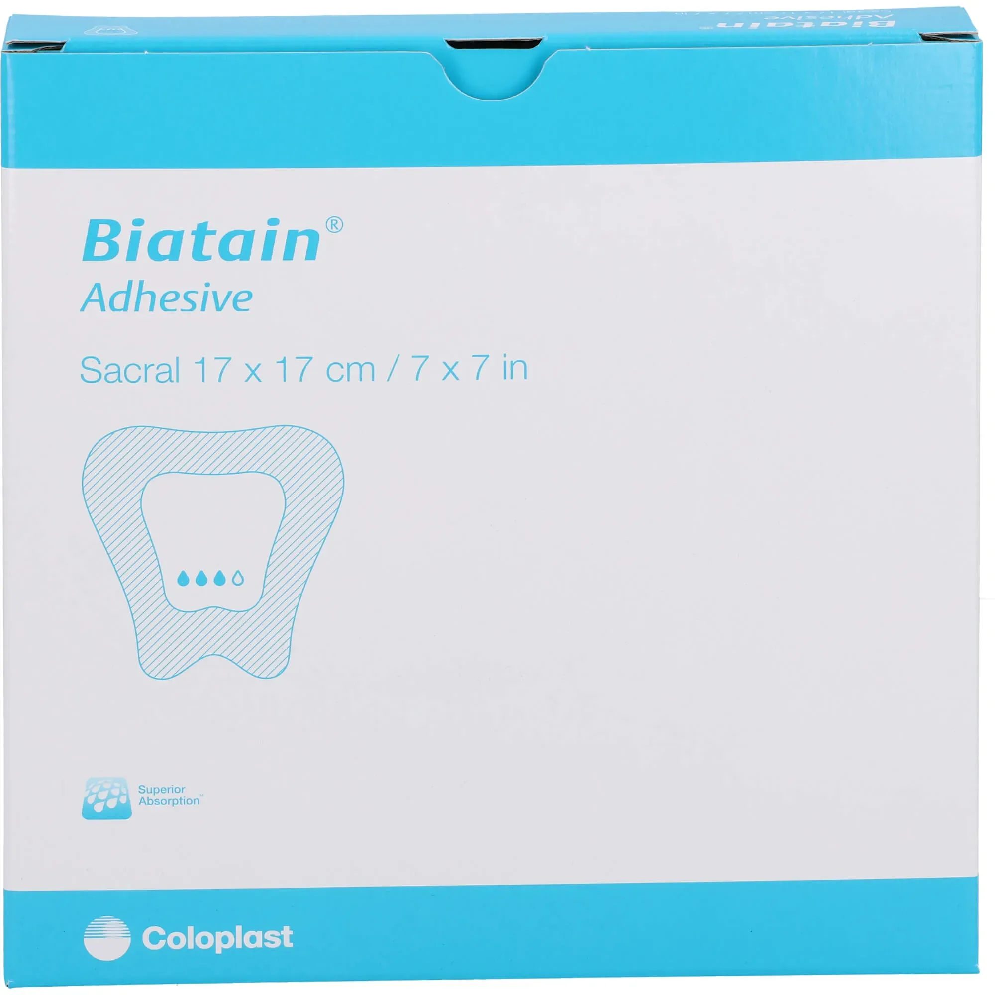 Biatain Sakrum 17x17cm 8x9In 5 ST