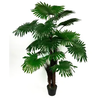 Seidenblumen Roß Fächerpalme Real Touch 140cm ZJ künstliche Pflanzen Palmen Palme Kunstpalmen Kunstpflanzen Dekopalme