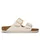 eggshell 41