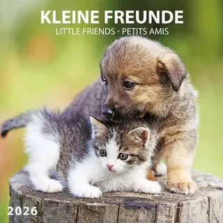 tushita paperart Kleine Freunde/Little Friends 2026