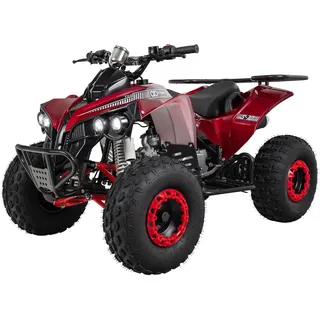 Actionbikes Motors Benzin Kinderquad S-10 - 125 ccm - Pocketquad (Metallic/Rot)