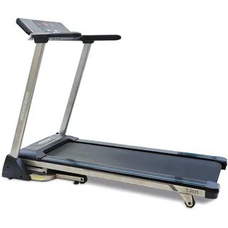 johnson fitness & wellness T-R01