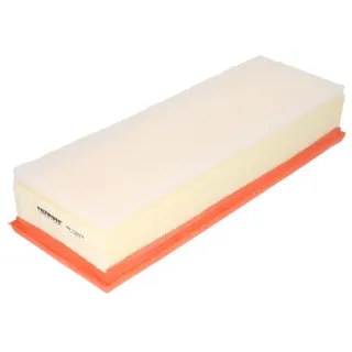 Filtron AP130/9