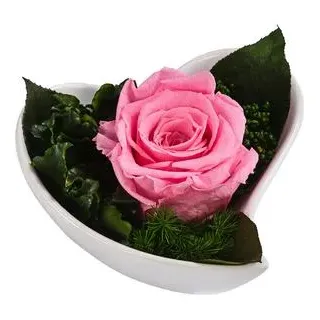 Dehner Herzschale mit Longlife-Rose Lena, rosa, ca. B11/H7 cm, Rosa, Grün, Weiß