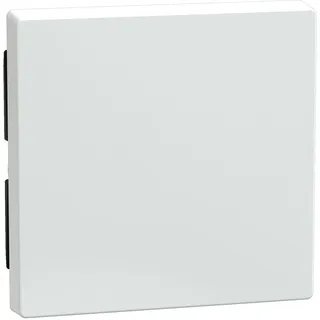 Merten Wippe aws/gl 432125