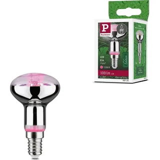 Paulmann LED Reflektor R50 E14 4W 1300K
