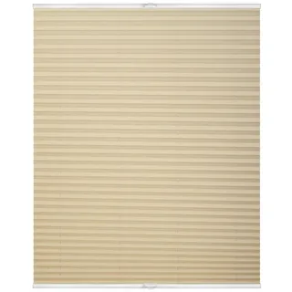 Lichtblick Plissee Klemmfix, ohne Bohren, verspannt