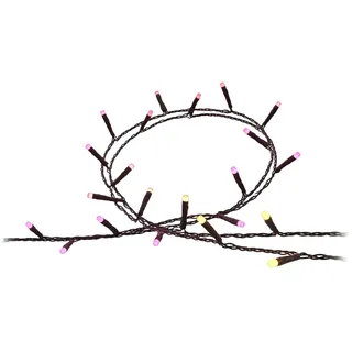 40 m 500 Mini-LEDs dimmbar