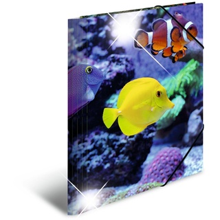 A4 fische