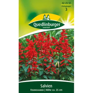 Quedlinburger Salvie ''Feuerzauber''