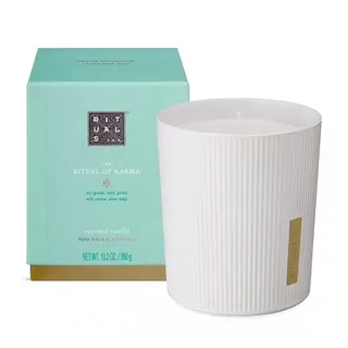 The Ritual of Karma 290g