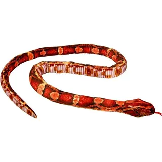 coppenrath verlag gmbh&co. kg Die Spiegelburg - Natur Zoom Wild