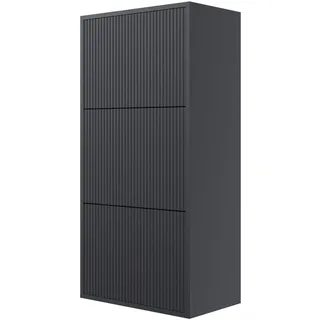 Selsey Schuhschrank Schuhregal 50 cm 3 Klappen Schuh Schrank 12 Paar Schuhe Schuhaufbewahrung Hängend Schwarz Veldio