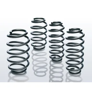 Eibach E10-20-045-04-22 Fahrwerksatz für BMW 3er