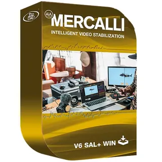 ProDAD Mercalli Easy Bildstabilisierung