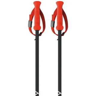 Fischer Rd 16 Sl Stöcke - Black / Orange 115