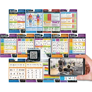 PosterFit Fitnessposter für Muskelaufbau, Übungen und Körperkonditionierung, laminiert, großes Format, 841 mm, 594 mm (A1), 13 Stück