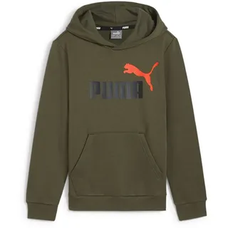 Puma Ess+ 2 Col Big Logo FL B, grün 176