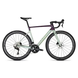 Focus Izalco Max 8.8 Lila Modell 2024