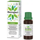 Iberogast Classic Flüssigkeit zum Einnehmen 20 ml