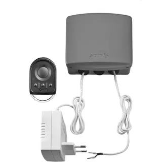 SOMFY Garagentor Funksteuerung 1870381