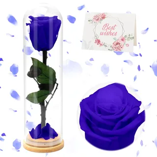 RANJIMA Ewige Rose Blau, Infinity Rosen, Konservierte Rose, Ewige Rose mit Konservierte Blumen, Rosen haltbar für Geburtstag/Valentinstag/Weihnachten/Hochzeit,Geschenke für Mutter/Freundin/Ehefrau/Oma