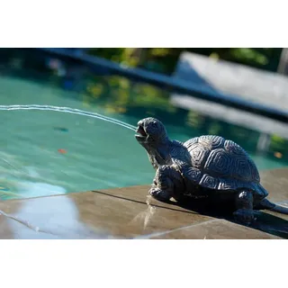 UBBINK Wasserspeier Schildkröte