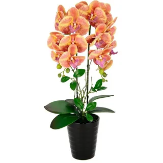 Kunstblume Orchidee, I.GE.A., Höhe 58 cm, Im Topf Phalaenopsis Orchidee Phalaenopsis mit Übertopf Hochzeit orange