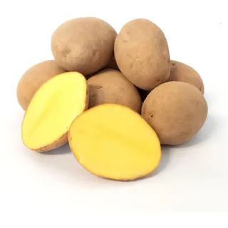 Kartoffel Afra mehlig Deutsche Speisekartoffeln 1-25 KG Ernte 2025