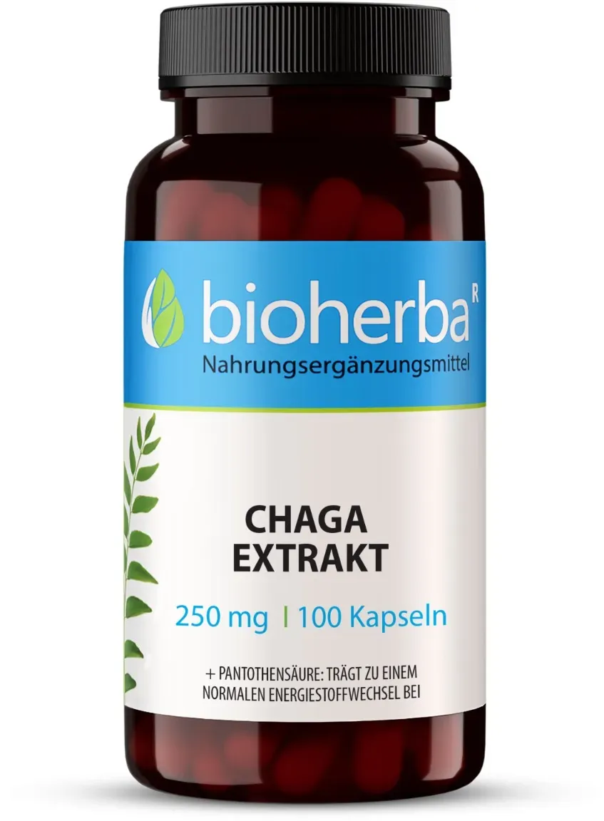 Chaga Extrakt 250 mg 100 Kapseln