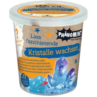 Moses PhänoMINT - Kristalle züchten