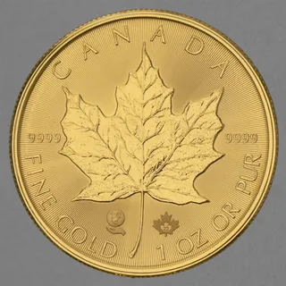 Royal Canadian Mint 1 Unze Goldmünze Maple Leaf 2022
