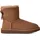 Rocky Oak 41