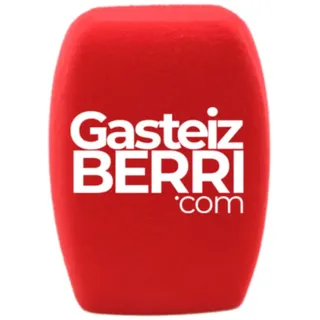 2er-Pack personalisierte Mikrofon-Schaumstoff-Windschutz mit individuellem Logo für Handmikrofon-Schaumstoff-Abdeckungen mit Logo-Druck für TV-Interview, Rundfunk, Radiosender-Mikrofon (Rot