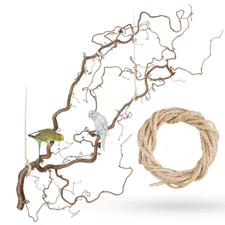 Vogelgaleria® Große Korkenzieherhasel Sitzstange zum Aufhängen mit toll verschnörkelten Zweigen | Der wohl Beste Vogelspielplatz für Wellensittich, Nymphensittich, Kanarienvogel