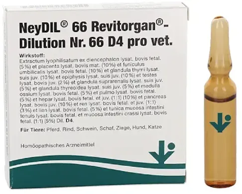 Neydil Nr.66 D4 pro vet. Ampullen 5x2ml