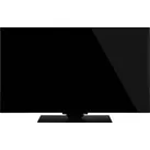 Panasonic OLED-TV 121cm 48 Zoll EEK F (A - G)