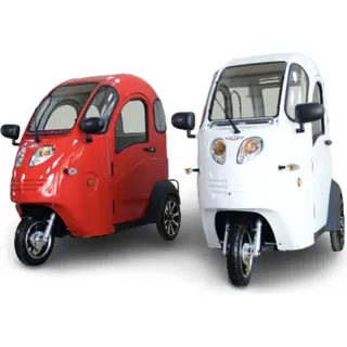 E-Auto KabinenRoller Vogel 3 ElektroMobil 3 Rad ElektroAuto bis 25km/h - Weiß