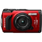 TG-7 rot