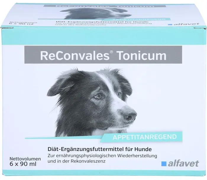 RECONVALES Tonicum für Hunde 540 ml