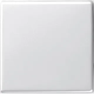 Gira Wechselschalter System 55