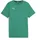 Puma Teamgoal Tee Jr sport green-puma white 116