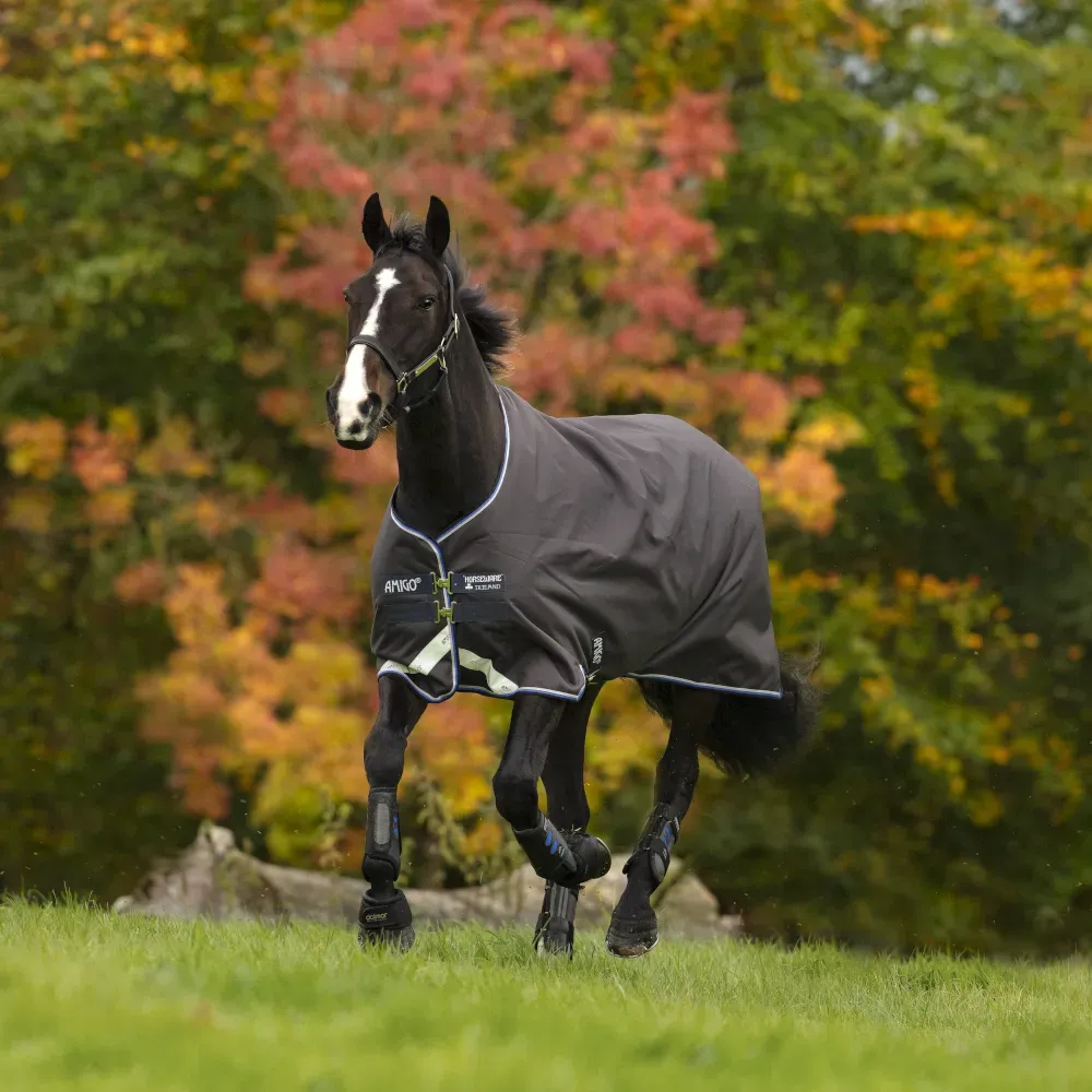 Horseware Amigo Bravo 12 Turnout 100g - Excal/StrBlue/Black, 165