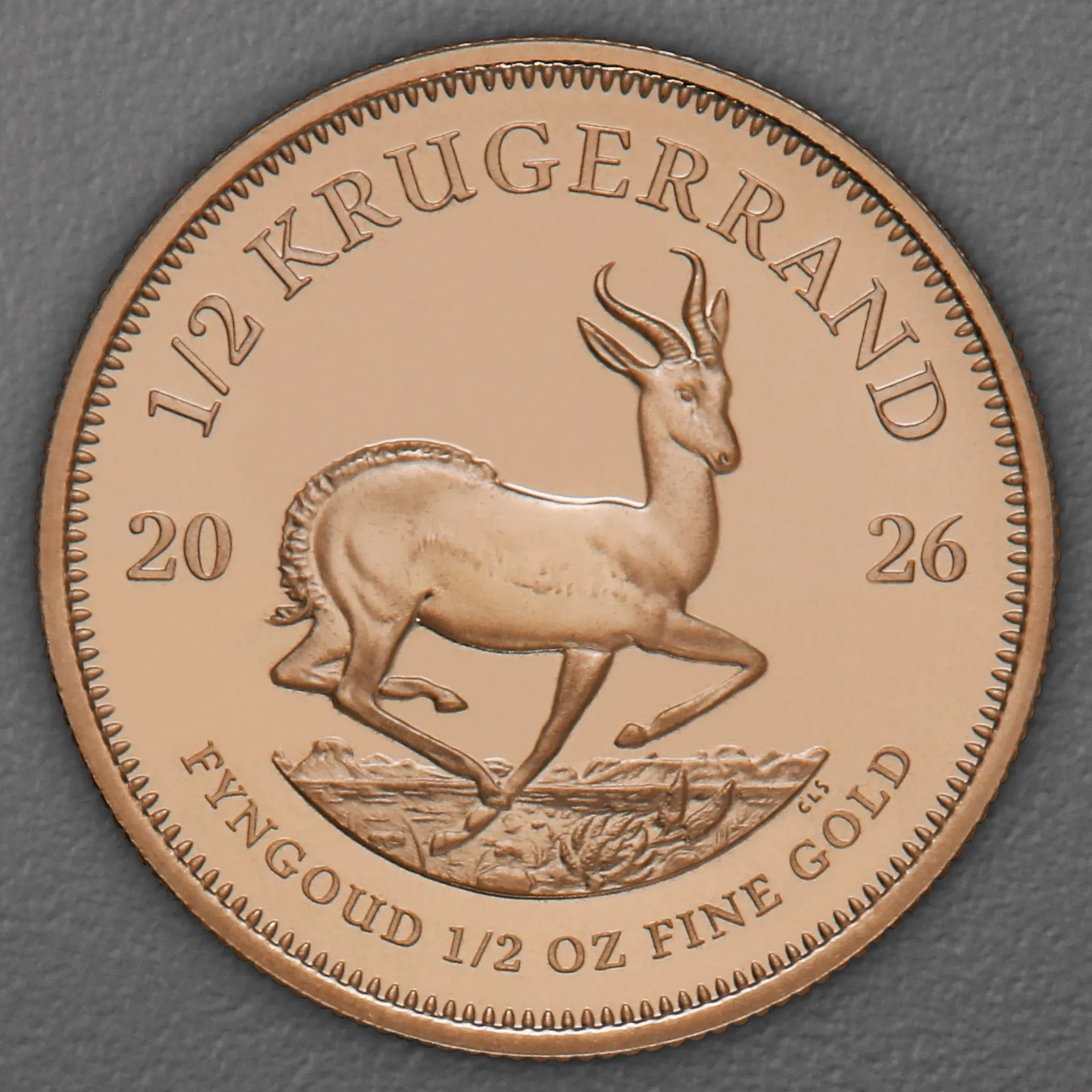 Goldmünze 1/2oz "Krügerrand" aktueller Jahrgang (Südafrika)