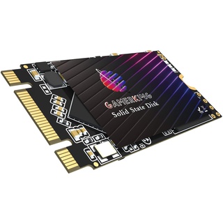 GAMERKING SSD M.2 2242 64GB Ngff internes Solid State Drive 1TB 512gb 256gb 128gb für Desktop-Laptops SATA III 6 Gb/s Hochleistungs Festplatte(64GB, M.2 2242)