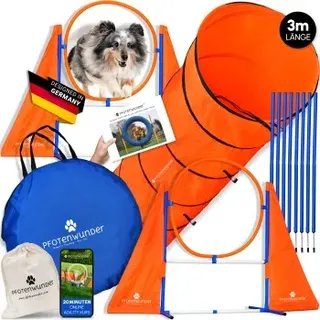 pfotenwunder® XXL-Profi-Agility Set Hunde Groß + 3 Meter-Tunnel + 21 Min. HUNDESCHULE 6 Slalomstangen, für kleine große Hunde-Training Sport Cavaletti Parcour Steckhürdenset Zubehör Hürden