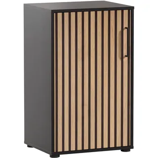 WELLTIME Hank Aktenschrank 50,95 x 41 x 83,6 cm schwarz