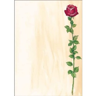 Sigel Motivpapier Rose Bloom Motiv DIN A4 90 g/qm 25 Blatt